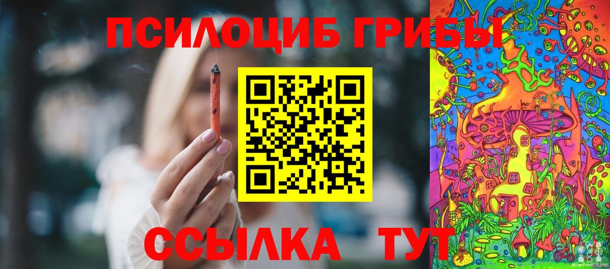 Галлюциногенные грибы Cubensis  Вход с VPN  Отрадное 