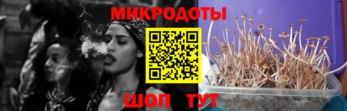 Галлюциногенные грибы Cubensis Отрадное